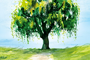 watercolor illustrations for direct mail