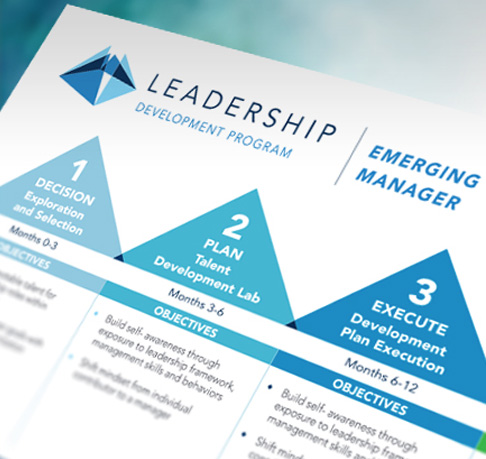 Leadership Logo Design Branding Brochure
