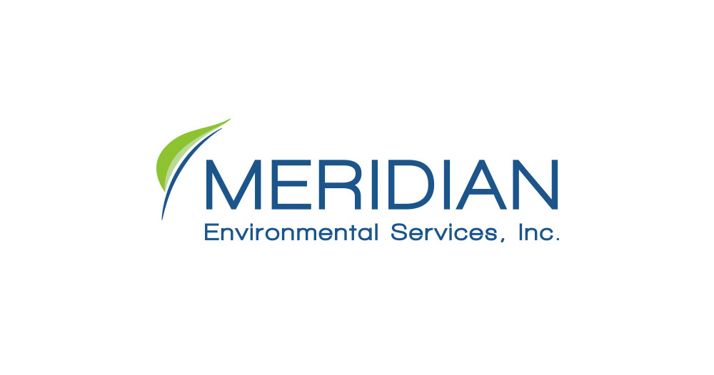 Meridian quality logo design