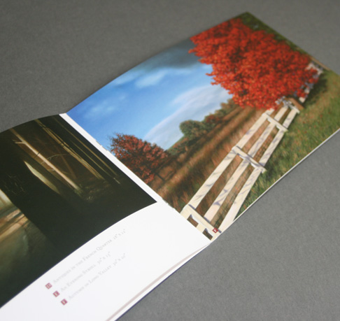 painting brochure design