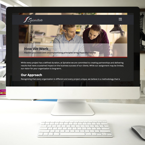 cool website for technology company consultant