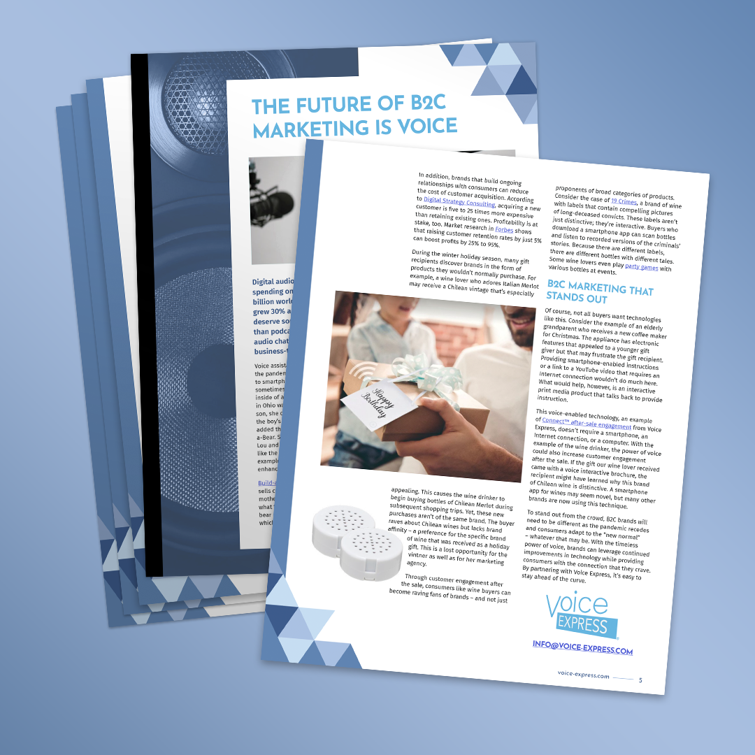 Voice Express manufacturing white paper design