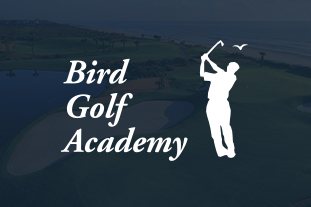 Bird Golf academy services catalog design