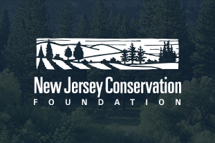 New Jersey Conservation Foundation brochure design