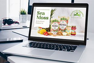 Health and wellness seamoss super food presentation design