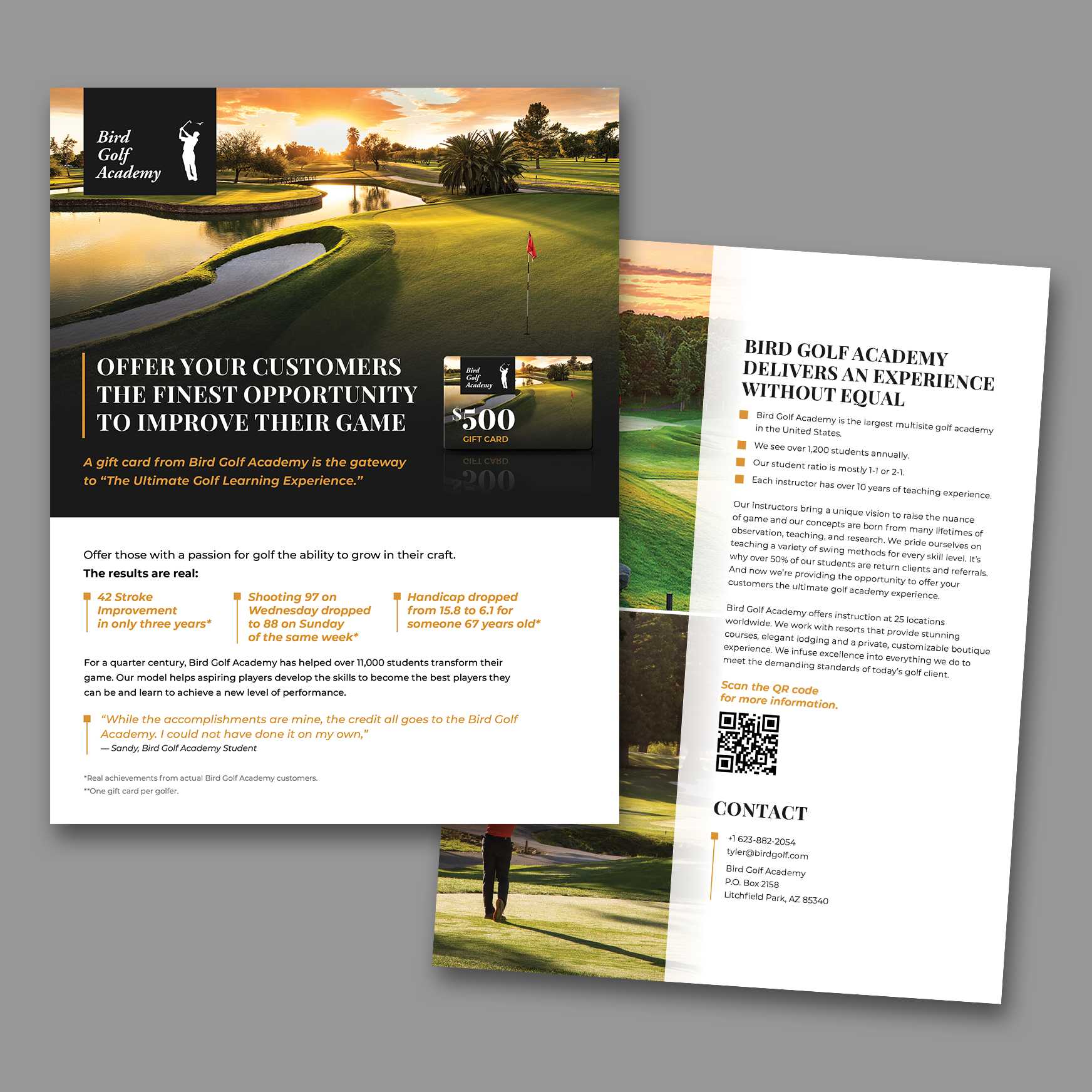 Bird Golf Academy promotional flyer Design
